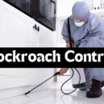 How to Choose the Best Pest Control Service for Your Needs